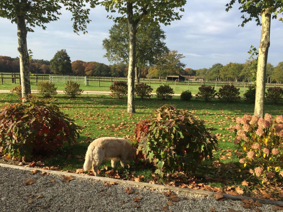 Haras Du Vignault Le Bucher 萨尔布里 外观 照片